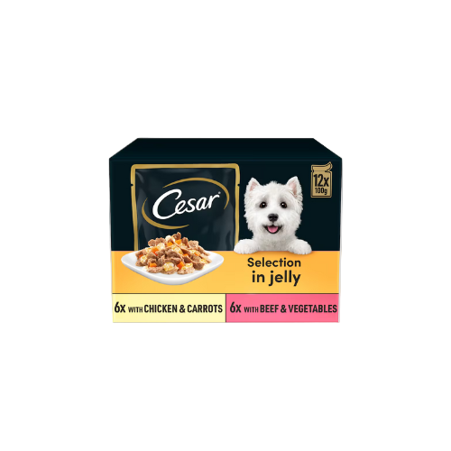 Cesar Deliciously Fresh Wet Dog Food Pouches 12 × 100g in Jelly at Grand Dad Store